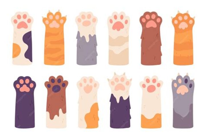 猫 の 肉 球 イラストの魅力｜肉球デザインの見つけ方と描き方入門
