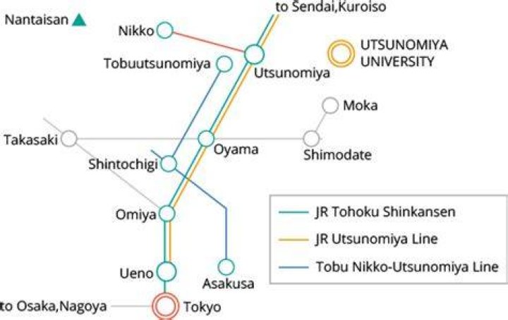 東京駅から宇都宮駅へ：所要時間・料金・ルートを“迷わず”比較