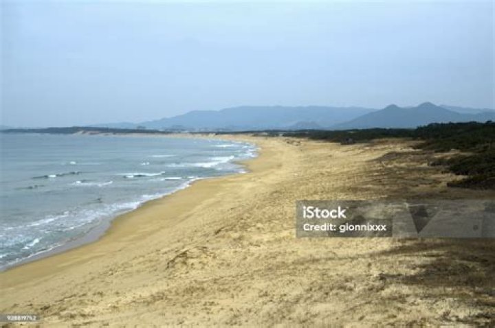 우미노 나카미치 해변 공원: 바다와 산책을 한 번에 즐기는 법